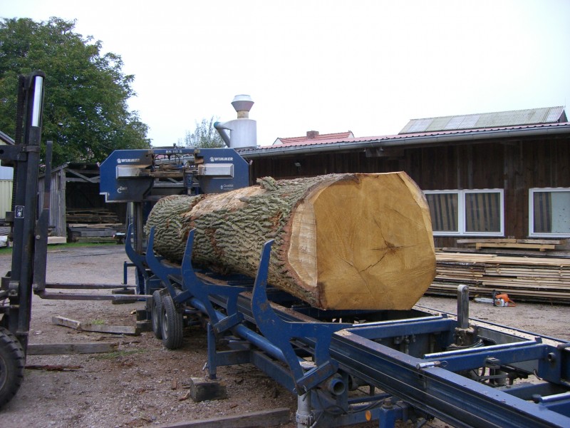 Zuschnitt neuer Hausbaum für Bockwindmühle